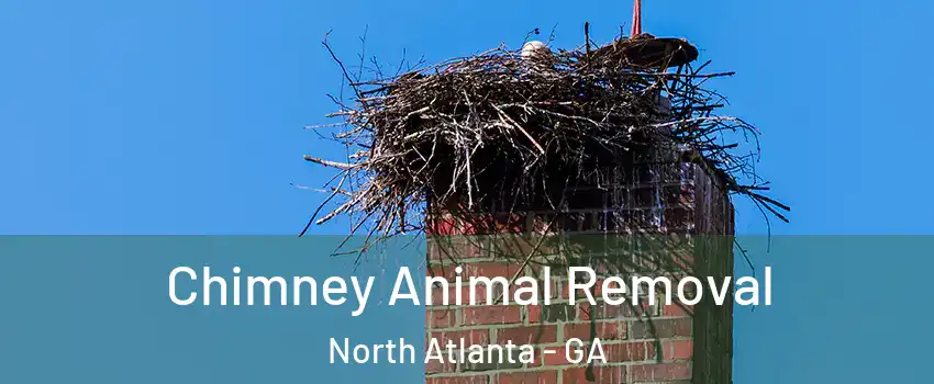 Chimney Animal Removal North Atlanta - GA
