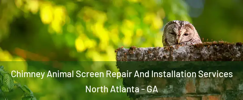  Chimney Animal Screen Repair And Installation Services North Atlanta - GA